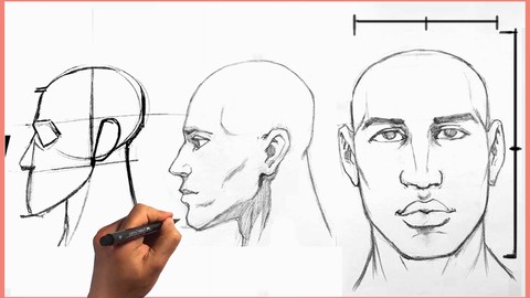 How to Draw the Head I Face Figure Drawing Anatomy Course