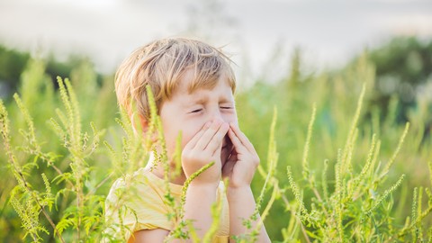 How to treat allergic rhinitis (hay fever) with acupressure