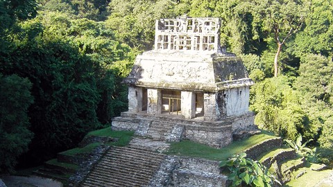 The Classical Maya City of Palenque