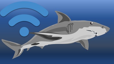 Follow Me to learn Wi-Fi Packet Capture using Wireshark
