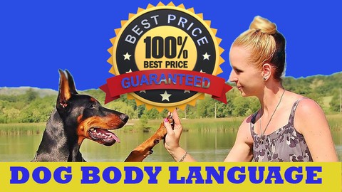 Dog body language. How To Read Your Dog's Body Language