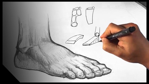 Draw Feet - Drawing for beginners Legs part I Figure Anatomy