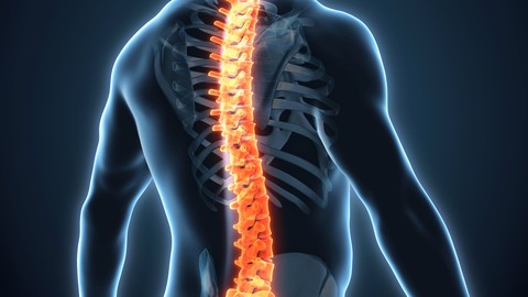 Cosmic Healing ~ Pranayama : Back Pain and Healthy Spine
