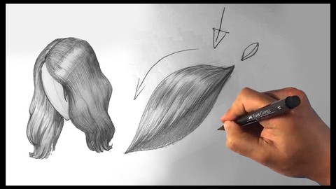 How to Draw Hair for Beginners - Figure Drawing Anatomy
