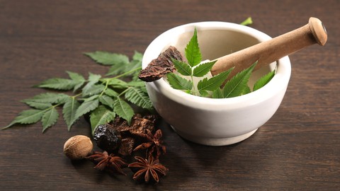 Certificate Course in the Fundamentals of Ayurveda