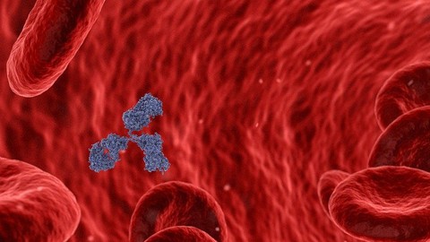 Crear una aplicación para escritorio para gestión médica