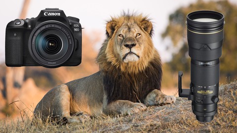 Wildlife Photography for Beginners and Amateurs