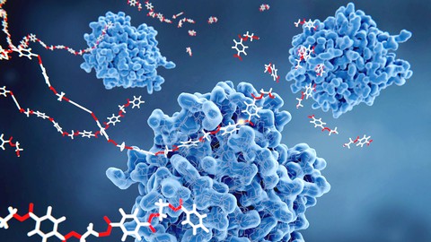 Nanotecnología: nuevas terapias contra el cáncer