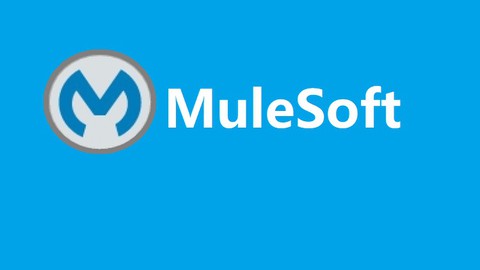 MuleSoft and Salesforce Integration Real Time Project