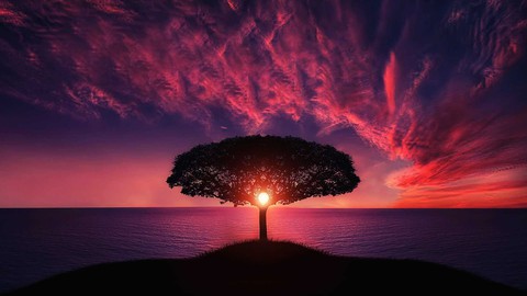 10 Days Of Mindful Awareness Meditation Vipassana Journaling