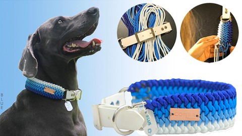 Introduction to Paracord techniques for pet collars.