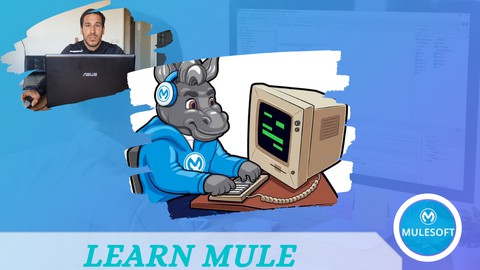 Learn Mulesoft: 12 steps to master the development of APIs!