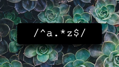 Regular Expressions for Beginners and Beyond! With Exercises