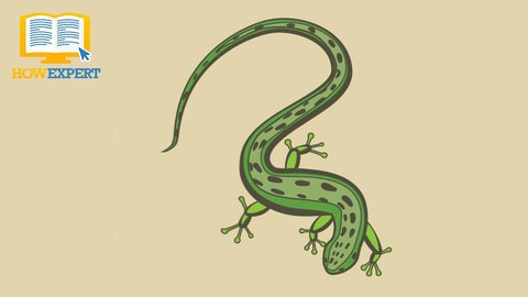 Salamander 101