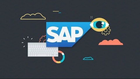 SAP Business One B1 Complete Training With Implementation