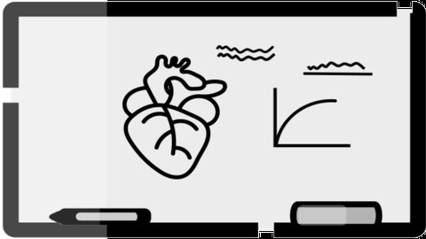 Cardiac Anatomy and Physiology