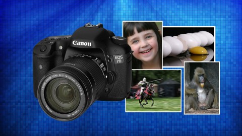 Digital Photography 101: Get Professional Quality Images Now