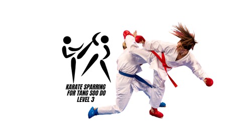 Karate Sparring - Level 3