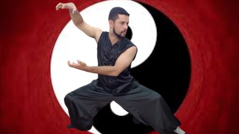 O Poder do Kung-Fu NanQuan