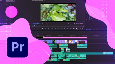 Premiere Pro Video Editing for Beginners in Tamil (தமிழ்)