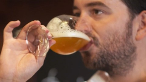 Beer Types: all you need to know about the most common beers