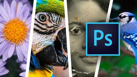 Adobe Photoshop para principiantes - Segunda parte