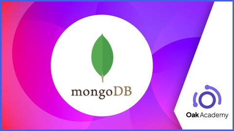 MongoDB for Beginners