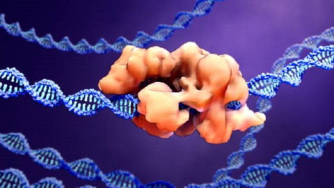 Mastering CRISPR Gene Editing Tool