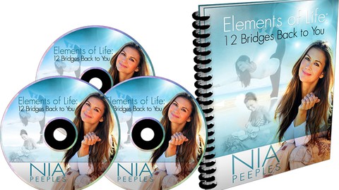 Elements of Life: 12 Bridges Back to You - Nia Peeples