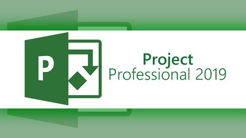 MS Project Professional Beginner to Expert.