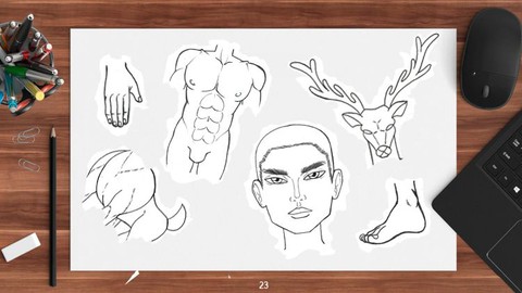 Técnicas de desenho à mão: corpo humano e animal