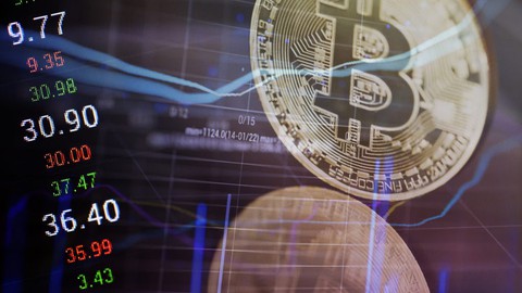 Beginners cryptocurrency wealth building and Investmenting.
