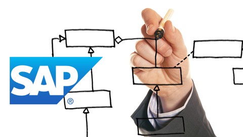 Become an expert in the agile SAP Fit-to-Standard process