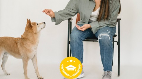 A Complete Pet Training Masterclass: Accredited Certificate