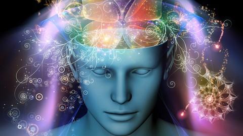 Reprogram Your Mind With The Mind Feedback Loop System©