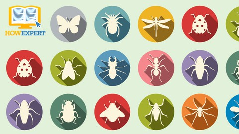 HowExpert Guide to Insects