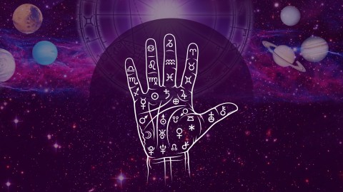 Palmistry: Learn the Basics for All Aspects of Your Life!