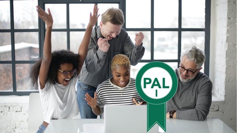 PAL I Professional Agile Leadership Certification Practice