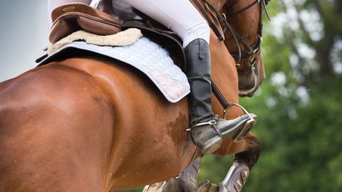 Supercharge Your Horse Riding Confidence