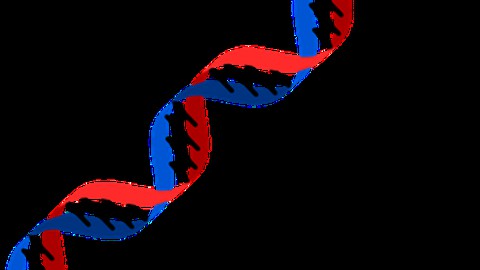 Genetics Are Easy: Learn From Scratch