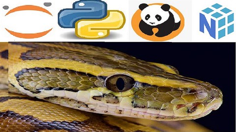2022 Python Bootcamp for Data Science Numpy Pandas & Seaborn