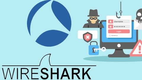 Hacking Ético 2024: Curso de Wireshark Para Pentesting