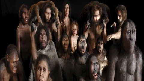 World History-The story of Early Humans.
