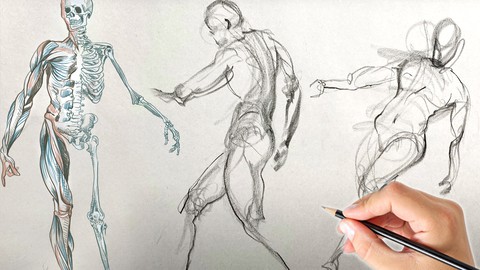 Figure Drawing- Learn to Draw Dynamic Figures