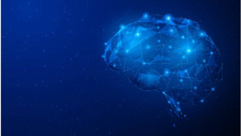 Neuroplasticity: Rewire Your Brain - A Complete Masterclass
