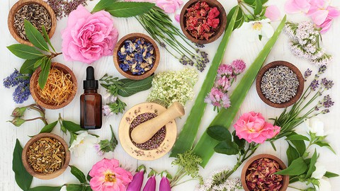 Certified Bach Flower Therapist Course - Become a Healer