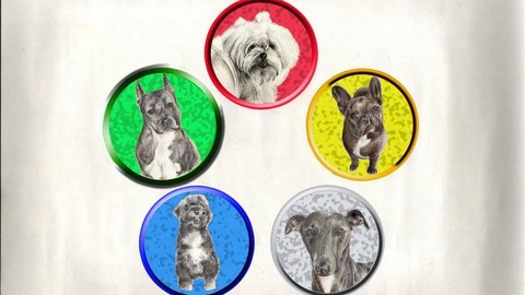 Los meridianos de la acupuntura en perros: Curso Completo