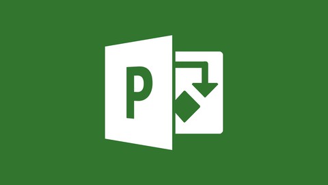 Microsoft Project Basic Course in Hindi
