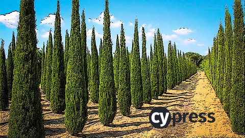 Master Cypress 9 in 15 minutes a day