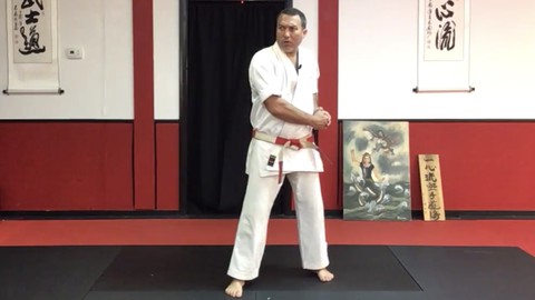 Dissect the Dissection of Isshinryu:  Seiunchin Kata